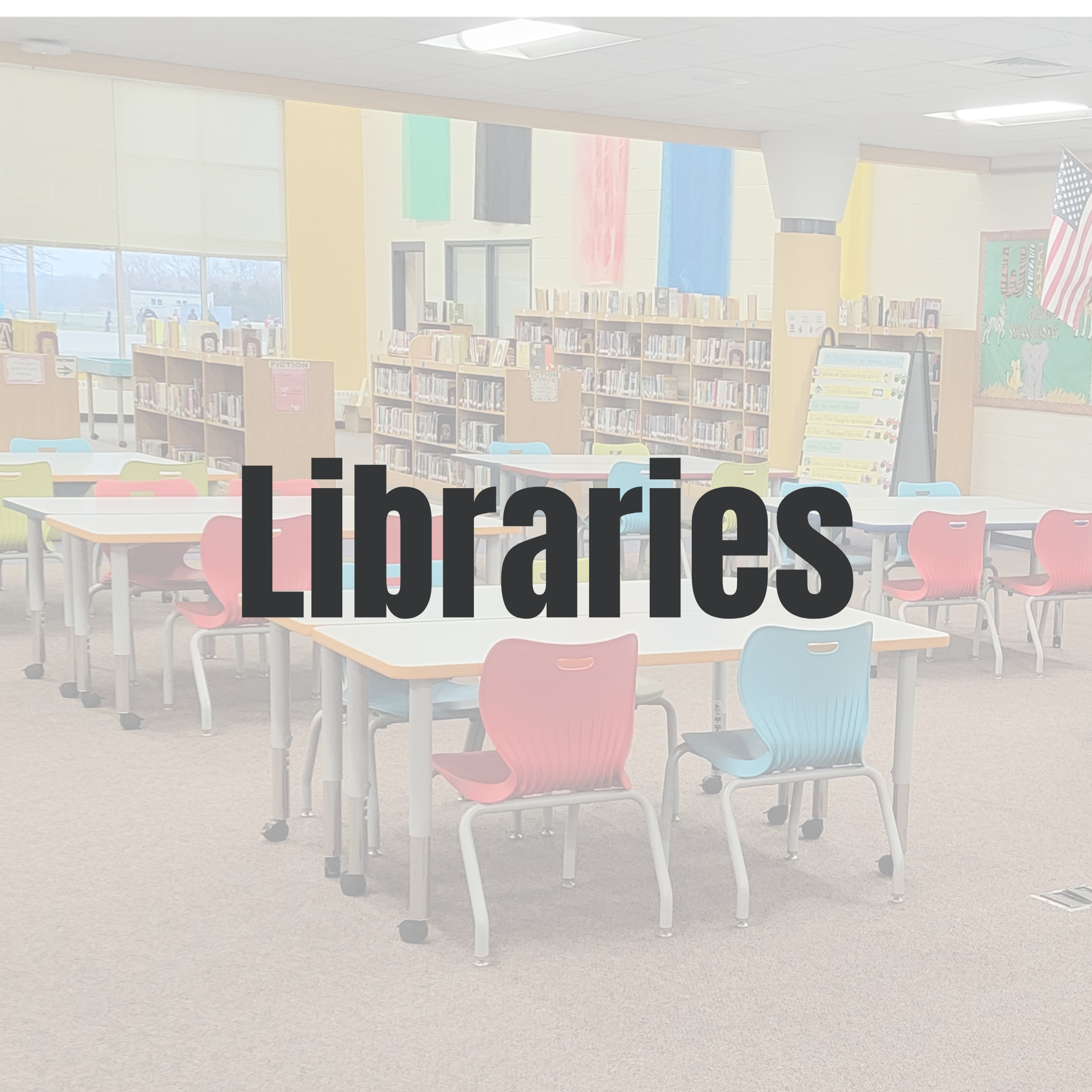Button for the library page, the word libraries over a picture of the elementary library
